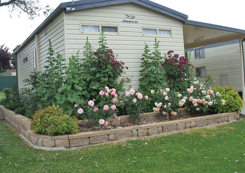 Walcha Caravan Park - Accommodation Kalgoorlie 3