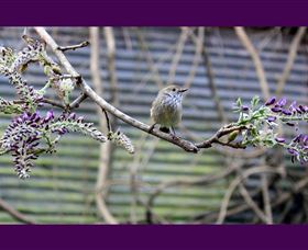 MossGrove Bed And Breakfast - Accommodation Kalgoorlie 2