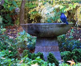 MossGrove Bed And Breakfast - Accommodation Kalgoorlie 4