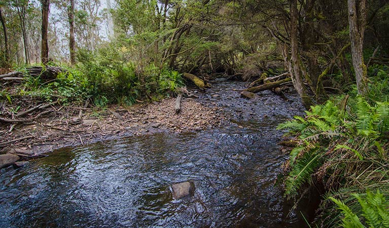 Moonan Brook NSW Accommodation Kalgoorlie
