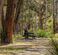 Koreelah Creek campground - Accommodation Kalgoorlie