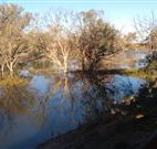 Warrawong on the Darling - Accommodation Kalgoorlie