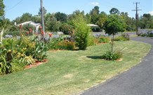 Glen Innes Motel - Glen Innes - Accommodation Kalgoorlie 1