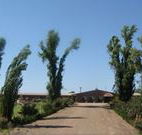 Newell Motor Inn - Narrandera - Accommodation Kalgoorlie