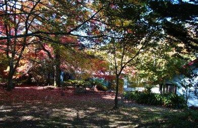 Kubba Roonga Blackheath - Accommodation Kalgoorlie 4