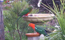 Valley View Motel Murrurundi - Murrurundi - Accommodation Kalgoorlie 4