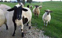 Mount Christopherson Retreat - Accommodation Kalgoorlie 3