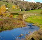 Ralda's Cottage - Accommodation Kalgoorlie