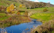 Ralda's Cottage - Accommodation Kalgoorlie 0