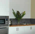 Toolond Plantation - Accommodation Kalgoorlie
