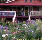 Rose Patch Bed and Breakfast - Accommodation Kalgoorlie