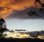 Silkwood B and B - Accommodation Kalgoorlie