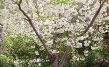 Valley Of The Waters Bed And Breakfast - Accommodation Kalgoorlie 7