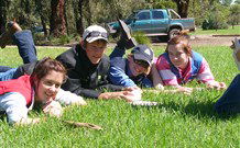 Murwillumbah  YHA Mount Warning - Accommodation Kalgoorlie 2