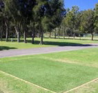 Spotted Gums on Hermitage - Accommodation Kalgoorlie