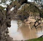Valley View Cottage Hunter Valley - Accommodation Kalgoorlie