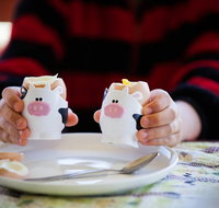 Cosy Cow Farmstay Bed and Breakfast - Accommodation Kalgoorlie