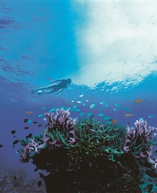 One&Only Hayman Island - Accommodation Kalgoorlie 3