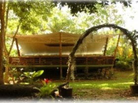 Cedar Park Rainforest Resort - Accommodation Kalgoorlie 2