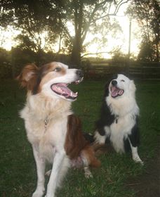 Brockhurst Farm Accommodation / Wedding Venue - Accommodation Kalgoorlie 1