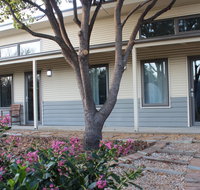 The Grape and Olive in Willunga - Accommodation Kalgoorlie