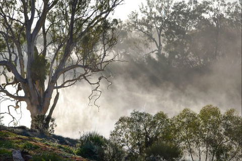 River Shack Rentals - Living The Dream - Accommodation Kalgoorlie 57