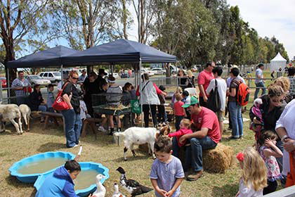 Billabong Ranch - Accommodation Kalgoorlie 3