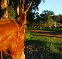 Billa Billa Farm Cottages - Accommodation Kalgoorlie