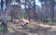 Valley Camp At Avon Valley National Park - thumb 0