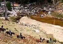 Megalong Valley Farm - Accommodation Kalgoorlie 3