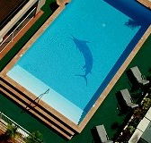 Pacific International Hotel - Accommodation Kalgoorlie