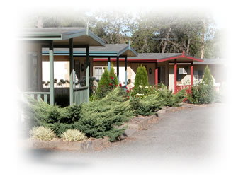 Kapunda Tourist Park - Accommodation Kalgoorlie 1