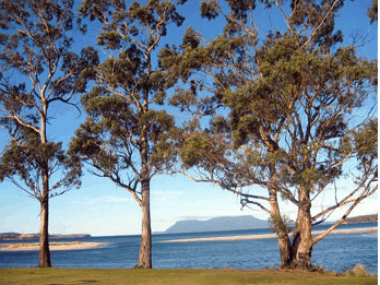 Island View Motel - Accommodation Kalgoorlie 3