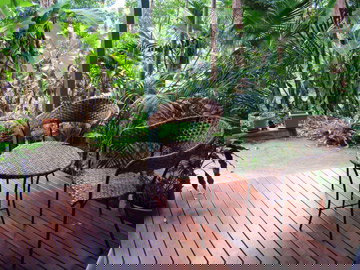 Abbazia Rainforest Studio - Accommodation Kalgoorlie 3