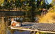 Otway Escapes Luxury Spa Accommodation - thumb 2