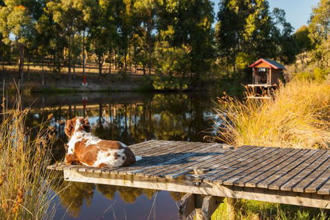 Otway Escapes Luxury Spa Accommodation - Accommodation Kalgoorlie 2