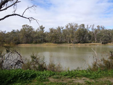 Chowilla Station Shearer's Quarters Accommodation - Accommodation Kalgoorlie 1