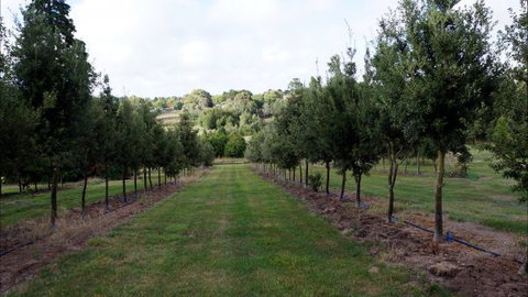 Oakhill Cottage - Accommodation Kalgoorlie 6