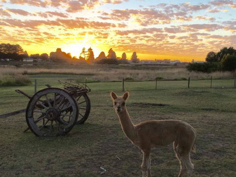 Pelican Waters Holiday Park - Accommodation Kalgoorlie 2