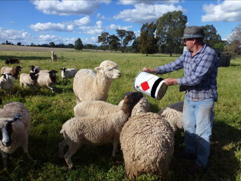 Selby Organic Farm Stay - Accommodation Kalgoorlie 6
