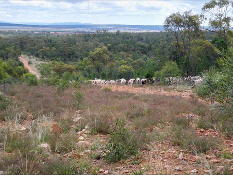 Selby Organic Farm Stay - Accommodation Kalgoorlie 8