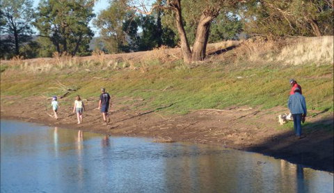 Selby Organic Farm Stay - Accommodation Kalgoorlie 9