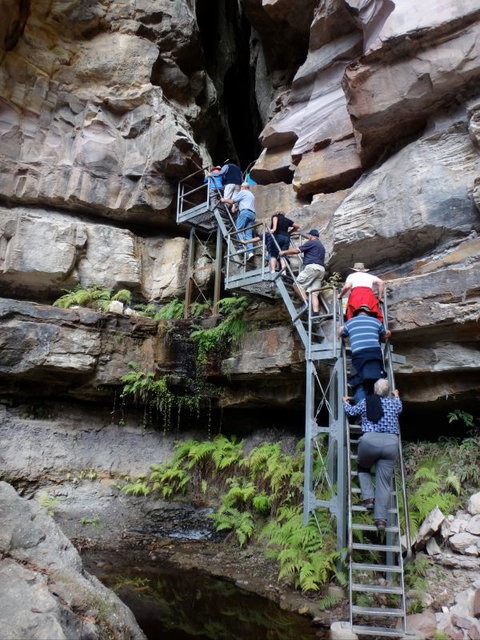 Takarakka Bush Resort Carnarvon Gorge - Accommodation Kalgoorlie 0