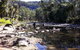 Takarakka Bush Resort Carnarvon Gorge - thumb 9