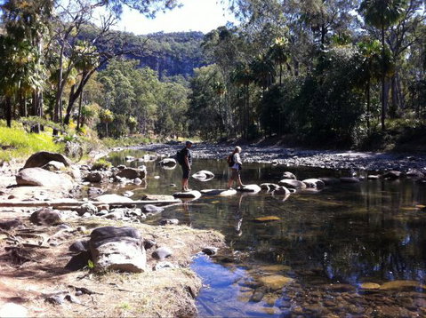 Takarakka Bush Resort Carnarvon Gorge - Accommodation Kalgoorlie 9