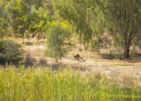 Girragirra Retreat - Accommodation Kalgoorlie 7