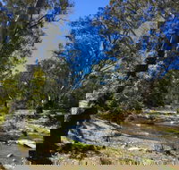 Highfield Farm and Woodland Bush Campsites - Accommodation Kalgoorlie