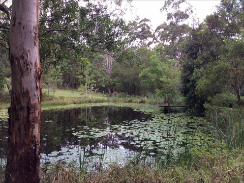 Maleny Country Cottages - Accommodation Kalgoorlie 3