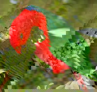 Peacock Creek campground - Accommodation Kalgoorlie