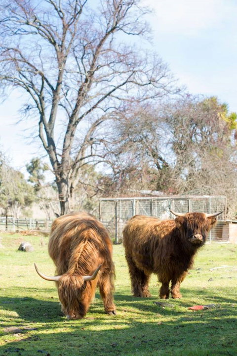 Ratho Farm - Accommodation Kalgoorlie 8